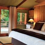 Addo Elephantback Lodge