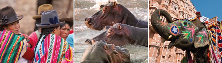 Special Offers Best Deals Holidays Safaris Tours Cruises Africa India America