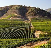 Self Drive Holidays Chile Santiago Maipo Winelands Santa Cruz Patagonia Valparaiso