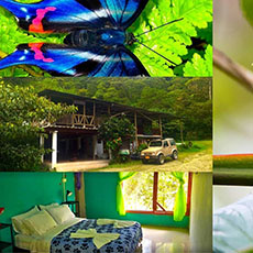 Montezuma Rainforest Lodge