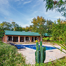 Simba Safari Lodge