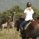 Horse Riding Safari South Africa Beach Horseback Holidays Vacations