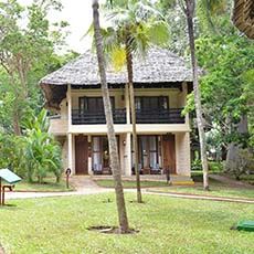 Baobab Beach