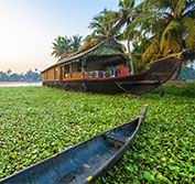 Birding In Western Ghats Kerala India Thattekad Endemics Holiday Tour