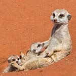 Fish River Canyon Namibia Self Drive Holiday Kalahari Luderitz Etosha