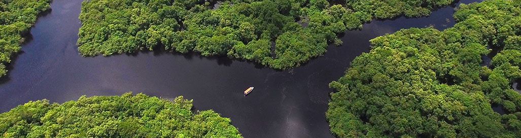 Brazil Holidays Amazon River Cruises Meeting of the Waters Manaus