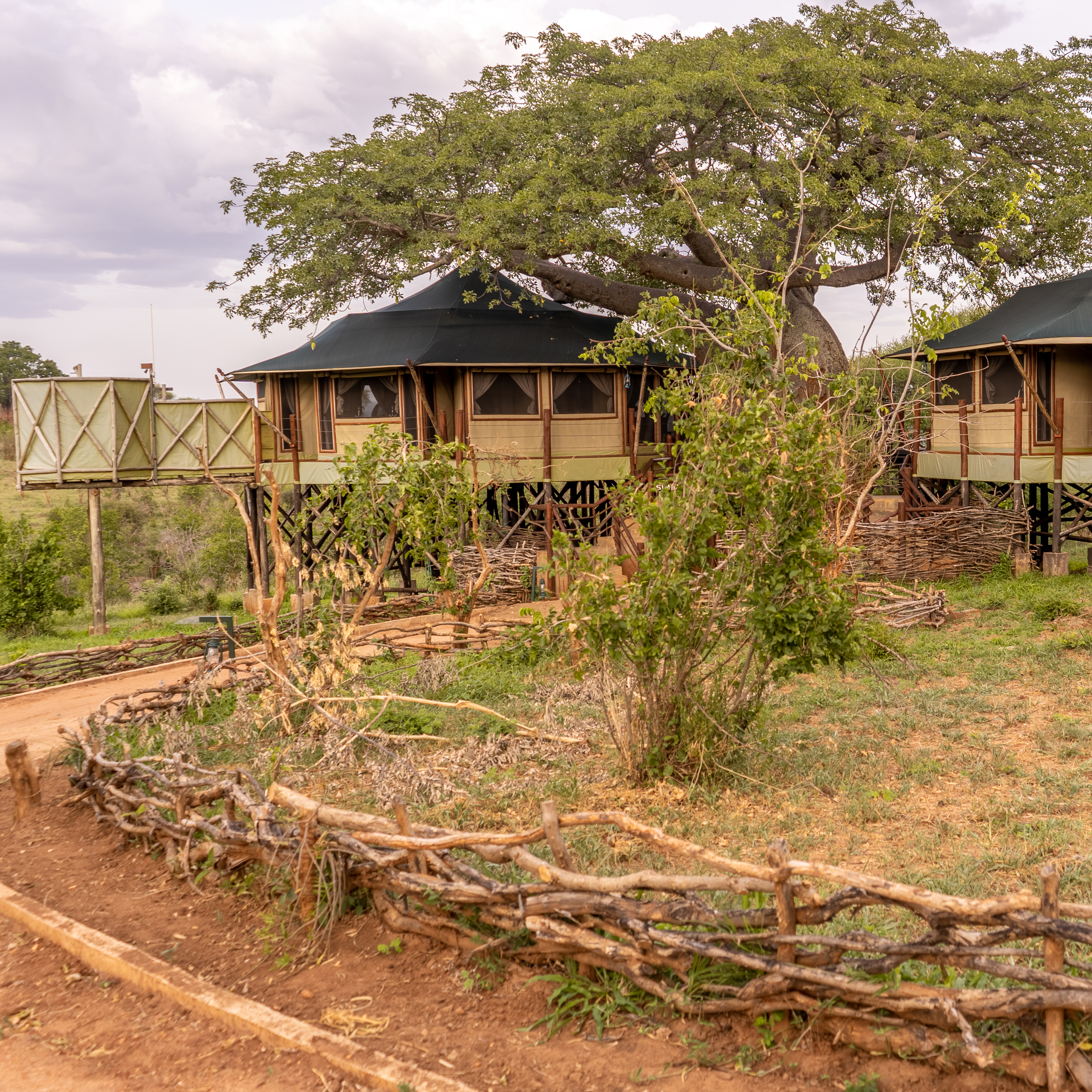 Tarangire Kuro Treetops