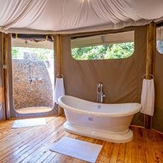 Mara Treetops Camp