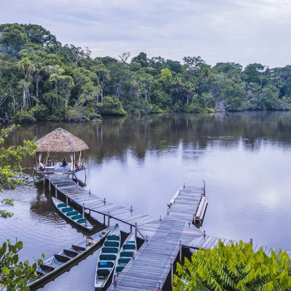 La Selva Jungle Lodge