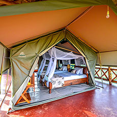 Twiga Safari Lodge