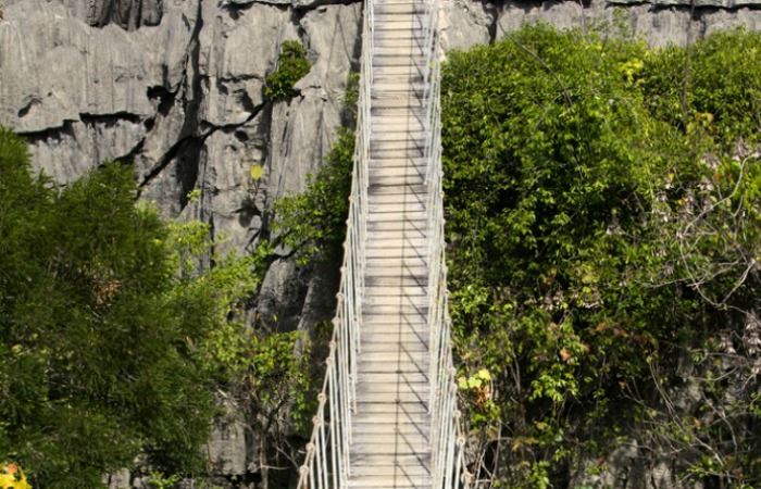 Walkway in the tsingy